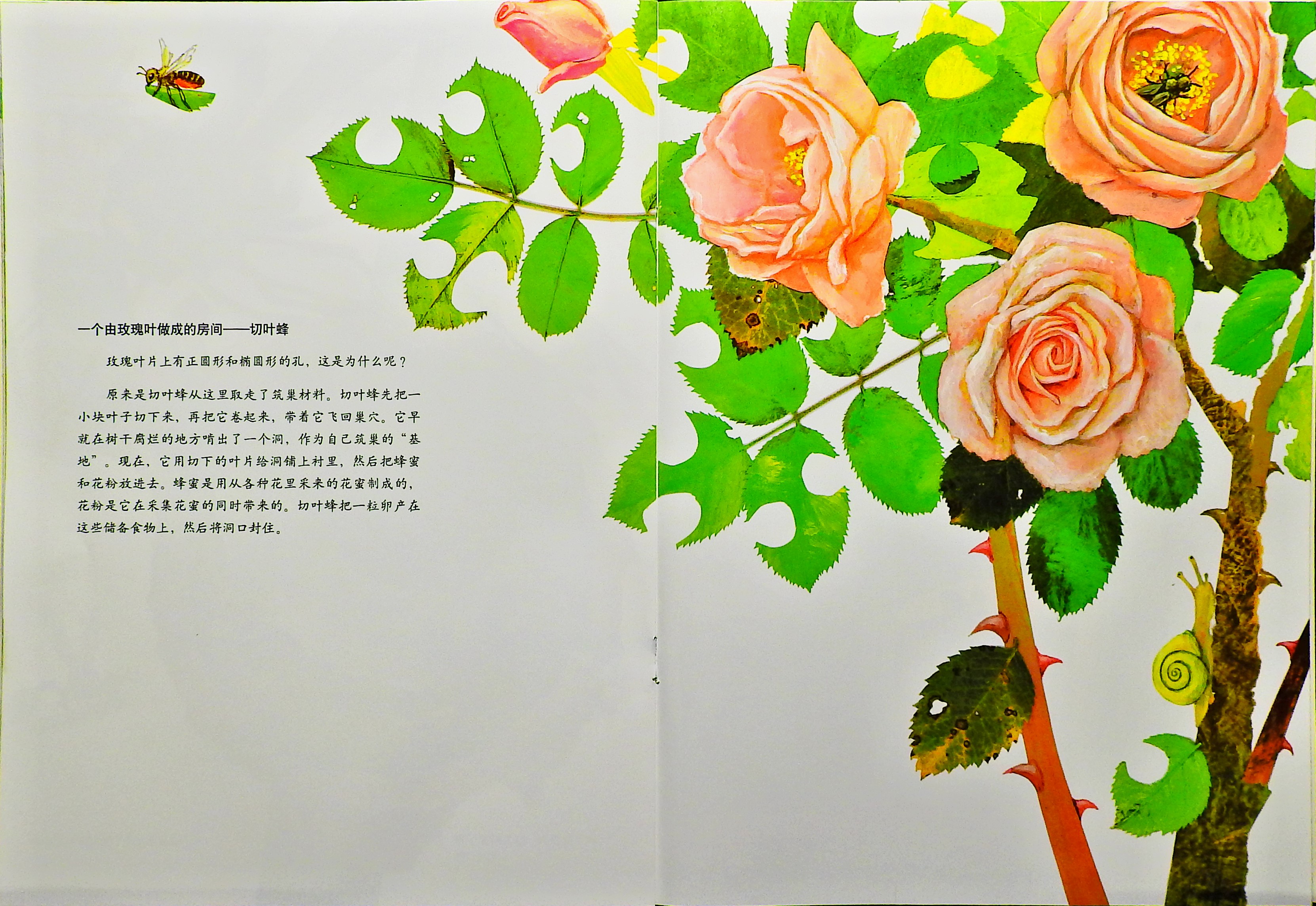 世界上最最温馨的家 (10),绘本,绘本故事,绘本阅读,故事书,童书,图画书,课外阅读